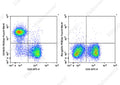 PE/Elab Fluor® 594 Anti-Mouse CD16/32 Antibody[2.4G2] – Figure 3 of 5