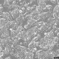 RH-35 cell