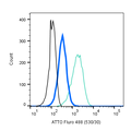 Rabbit IgG Isotype Control-ATTO Fluor-488