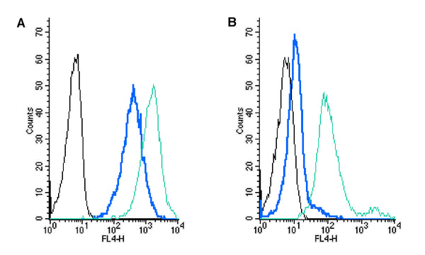 Rabbit IgG Isotype Control-APC