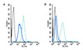 Rabbit IgG Isotype Control-FITC