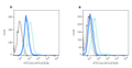 Rabbit IgG Isotype Control-ATTO Fluor-647N