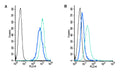 Rabbit IgG Isotype Control-PE