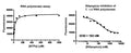 S. aureus RNA Polymerase Assay Kit – Figure 1 of 1