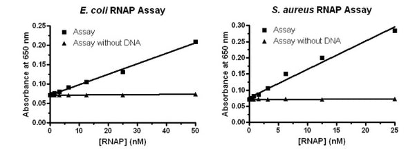 Bacterial RNA Polymerase Pyrophosphate Assay Kit – Figure 1 of 1