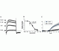 Lq2