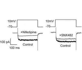 SNX-482
