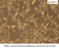 Distant Pulmonary Metastasis Tumor Cell Line (T3-PA) | Applied Biological Materials (abm)