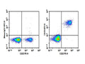 AF/LE Purified Anti-Human CD19 Antibody[4G7] – Figure 1 of 2