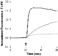 SB-366791 – Figure 1 of 2