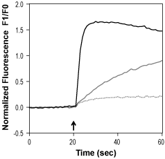SB-366791 – Figure 1 of 2
