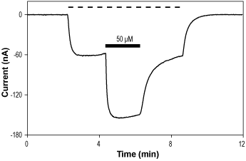 SJM-3 – Figure 1 of 2