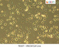 HN134 Cell Line | Applied Biological Materials (abm)