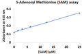 Colorimetric S-Adenosyl Methionine (SAM) Assay Kit – Figure 1 of 1