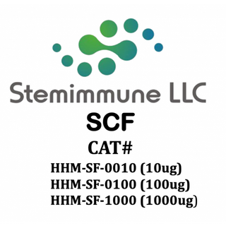 Recombinant Human SCF Protein