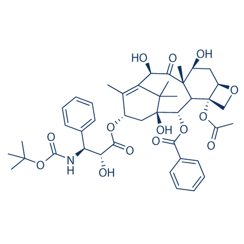 Chemical structure of Docetaxel (SIH-240), a Microtubule stabilizing agent. CAS #: 114977-28-5. Molecular Formula: C43H53NO14. Molecular Weight: 807.88 g/mol.