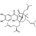 Chemical structure of Garcinol (SIH-355), a HAT inhibitor. CAS #: 78824-30-3. Molecular Formula: C38H50O6. Molecular Weight: 602.8 g/mol.