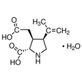 Chemical structure of Kainic acid (SIH-364), a Neuro-excitant/ Kainate agonist. CAS #: 58002-62-3. Molecular Formula: C10H15NO4 (*H2O). Molecular Weight: 213.2 g/mol.