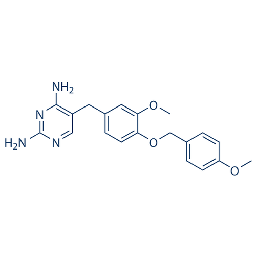 Chemical structure of GW2580 (SIH-449), a cFMS kinase inhibitor. CAS #: 870483-87-7. Molecular Formula: C20H22N4O3. Molecular Weight: 366.4 g/mol.