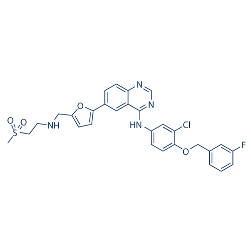 Chemical structure of Lapatinib (SIH-459), a EGFR and HER2 inhibitor. CAS #: 231277-92-2. Molecular Formula: C29H26ClFN4O4S. Molecular Weight: 581.1 g/mol.