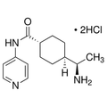 Chemical structure of Y 27632 (SIH-486), a ROCK family kinase inhibitor. CAS #: 146986-50-7. Molecular Formula: C14H23Cl2N3O. Molecular Weight: 320.3 g/mol.