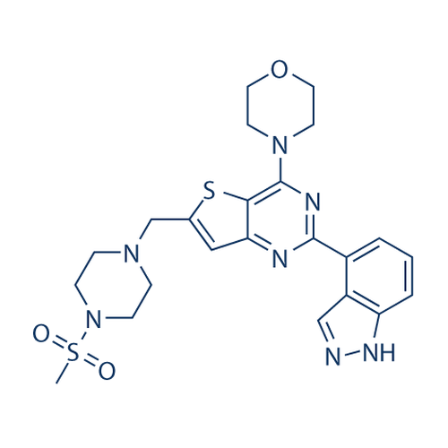 Chemical structure of GDC 0941 (SIH-501), a pan-PI3K kinase inhibitor. CAS #: 957054-30-7. Molecular Formula: C23H27N7O3S2. Molecular Weight: 513.63 g/mol.