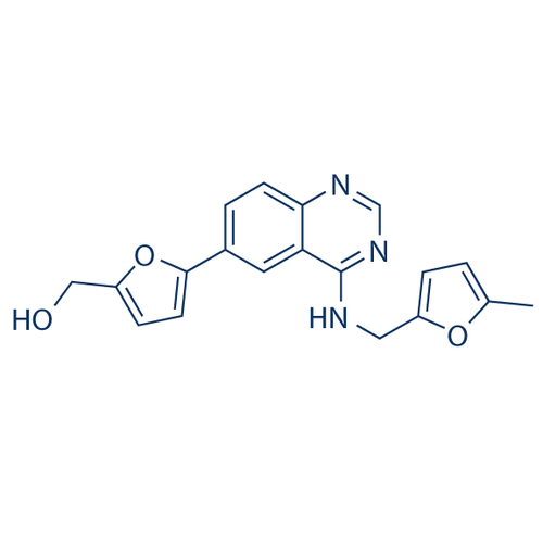 Chemical structure of ML167 (SIH-505), a Clk4 kinase inhibitor. CAS #: 1285702-20-6. Molecular Formula: C19H17N3O3. Molecular Weight: 335.4 g/mol.