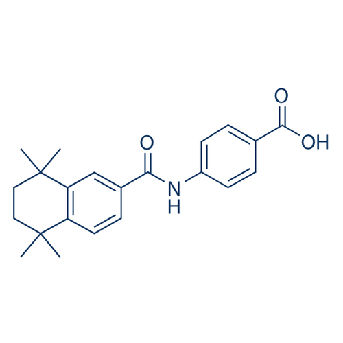 Chemical structure of AM 580 (SIH-600), a RAR Agonist. CAS #: 102121-60-8. Molecular Formula: C22H25NO3. Molecular Weight: 351.4 g/mol.