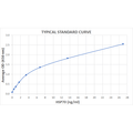 Graph of the Typical Standard Curve for the HSP70 ELISA Kit (High-Sensitivity) StressXpress® - SKT-108