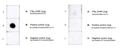 Mouse Anti-Tau Antibody (pThr217) [15B7] used in Dot Blot (DB) on Human, Mouse, Rat Tau Peptide (pThr217) (SMC-615)