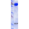 SDS-Page of human HOP Protein (SPR-302)
