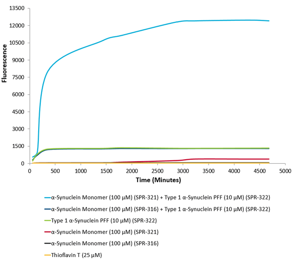 Alpha Synuclein monomers (SPR-321) form new alpha synuclein fibrils through the seeding activity of Type 1 alpha synuclein pre-formed fibrils (SPR-322) as shown by increased fluorescence intensity by Thioflavin T over time. | SDS-Page of huma alpha synuclein monomer (SPR-321)