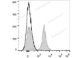 PE/Cyanine7 Anti-Mouse CD19 Antibody[1D3] – Figure 1 of 2