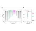 αA-Conotoxin PIVA