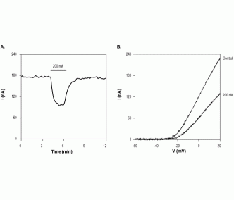 κ-Conotoxin RIIIK
