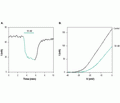 κ-Conotoxin RIIIJ