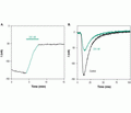 Ceratotoxin-1