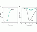 ω-Conotoxin CVIF