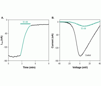 ω-Conotoxin CVIF