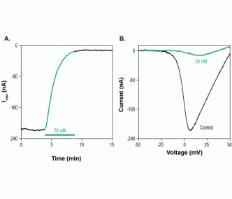 ω-Conotoxin FVIA