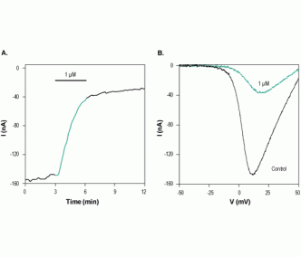 ω-Conotoxin CnVIIA