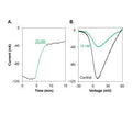 ω-Conotoxin Bu8