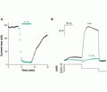 Ergtoxin-1