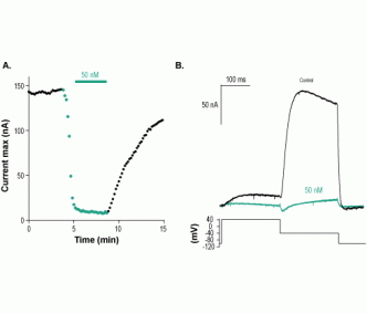 Ergtoxin-1