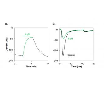 Heteropodatoxin-1