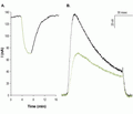Heteropodatoxin-2