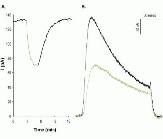 Heteropodatoxin-2
