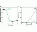 Hongotoxin-1