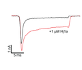 Hj1a Toxin
