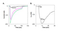 ɩ-Conotoxin RXIA – Figure 1 of 1